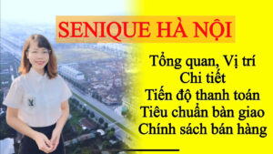 senique hà nội chi tiết