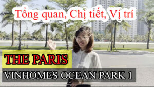 Paris Vinhomes Ocean Park 1 đại lý vinhomes hà nội